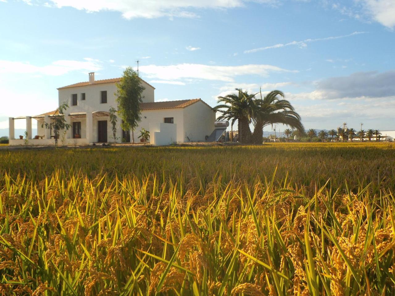 Mas Dels Bonos Guest House Deltebre Exterior photo